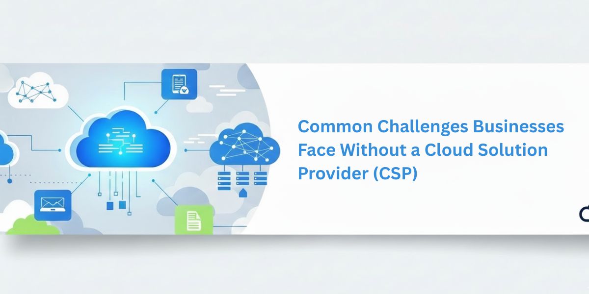 Common Challenges Businesses Face Without a Cloud Solution Provider (CSP)
