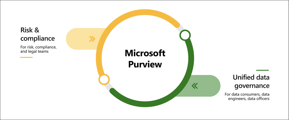 The Role of Microsoft Purview in Data Privacy and Risk Reduction